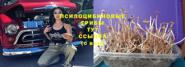 скорость mdpv Козловка