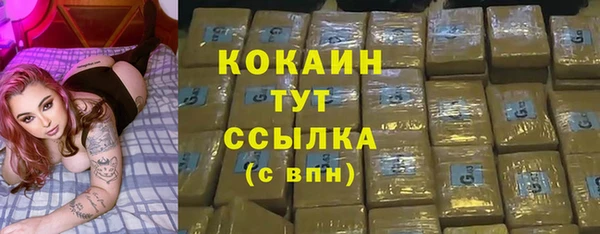твердый Краснослободск