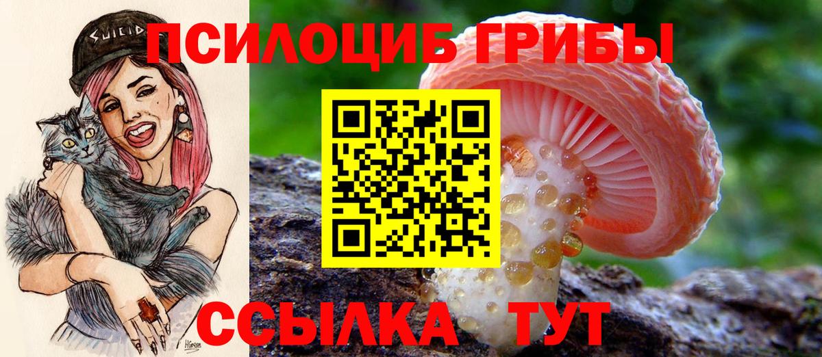 Железногорск  Псилоцибиновые грибы мицелий  купить наркотик  Вход с VPN 